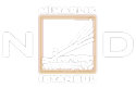 fancy-logo-main